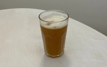 Sada na výrobu svrchně kvašeného piva IPA