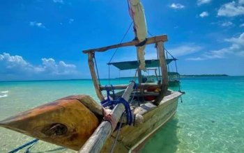 Zanzibar křížem krážem Zahraničí