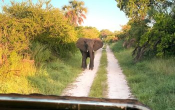 Zanzibar křížem krážem Zahraničí