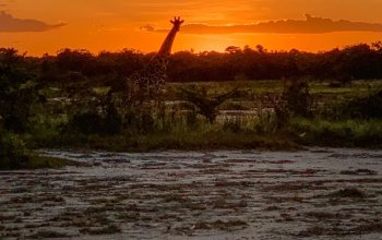 Zanzibar křížem krážem Zahraničí