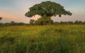 Zanzibar křížem krážem Zahraničí