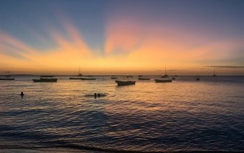 Zanzibar křížem krážem Zahraničí