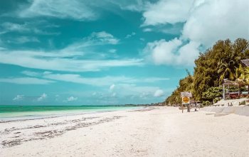 Zanzibar křížem krážem Zahraničí