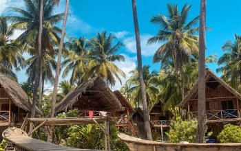 Zanzibar křížem krážem Zahraničí