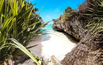 Zanzibar křížem krážem Zahraničí