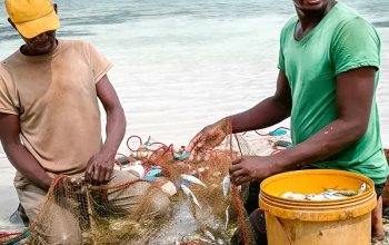 Zanzibar křížem krážem Zahraničí