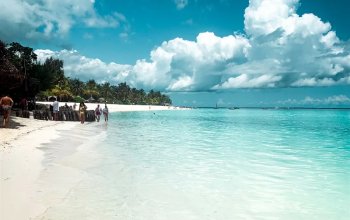 Zanzibar křížem krážem Zahraničí
