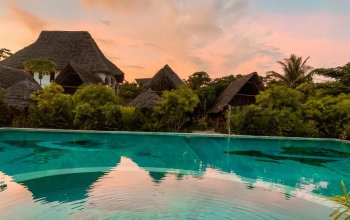 Zanzibar křížem krážem Zahraničí