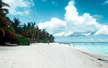 Zanzibar křížem krážem Zahraničí