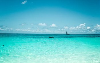 Zanzibar křížem krážem Zahraničí