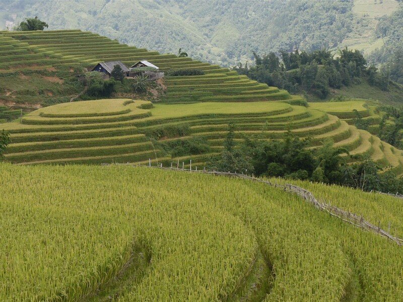 S Veronikou do Vietnamu Zahraničí