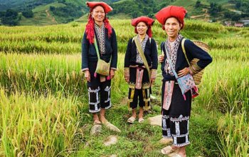 S Veronikou do Vietnamu Zahraničí