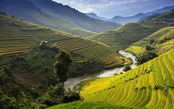 S Veronikou do Vietnamu Zahraničí