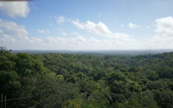 Mexiko, Guatemala, Belize Zahraničí