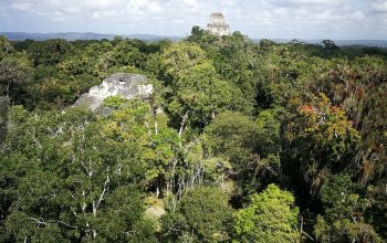 Mexiko, Guatemala, Belize Zahraničí