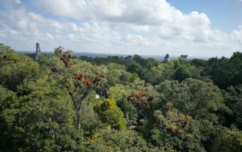 Mexiko, Guatemala, Belize Zahraničí
