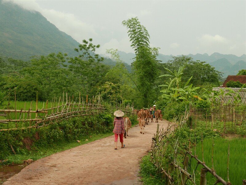 Vietnam – Na vlastní kůži Zahraničí