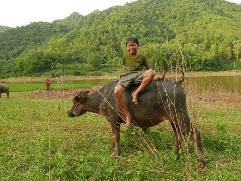 Vietnam – Na vlastní kůži Zahraničí