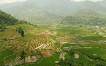 Vietnam – Na vlastní kůži Zahraničí