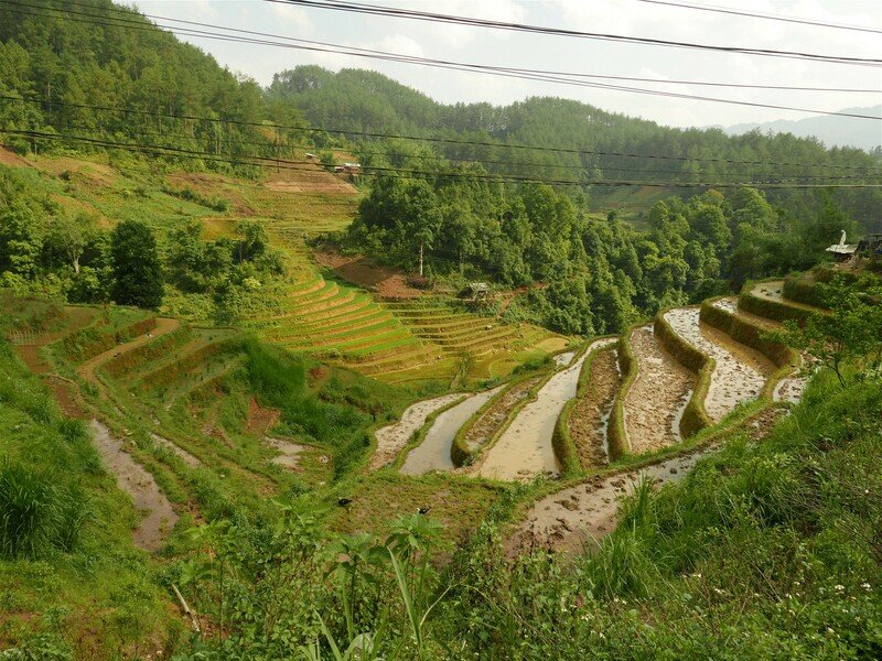 Vietnam – Na vlastní kůži Zahraničí