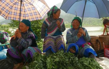 Vietnam – Na vlastní kůži Zahraničí