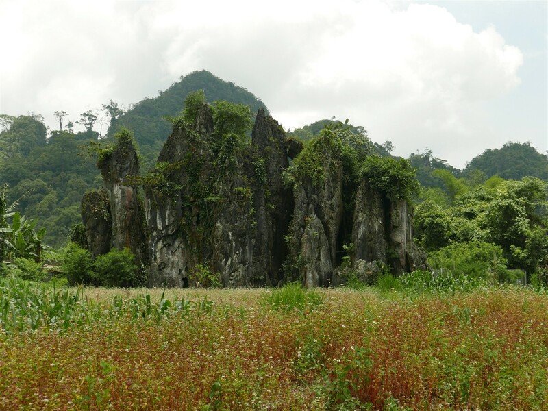 Vietnam – Na vlastní kůži Zahraničí