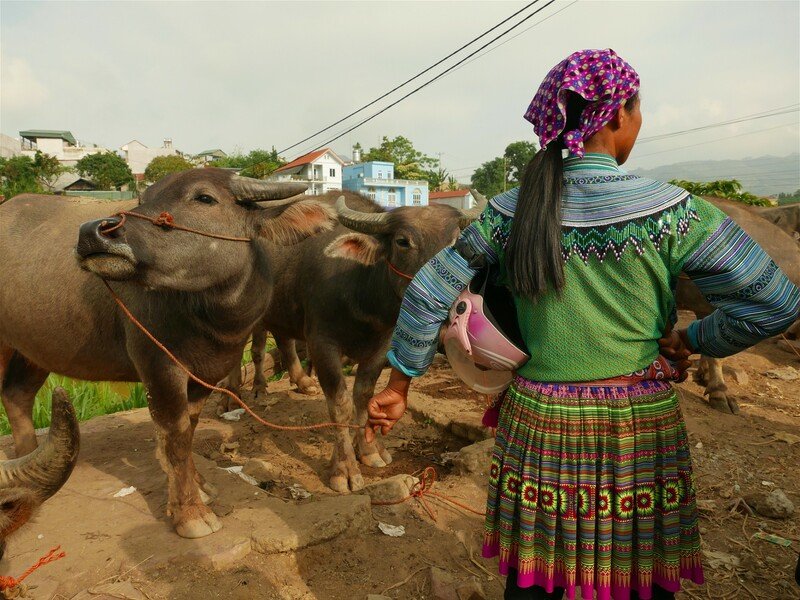 Vietnam – Na vlastní kůži Zahraničí