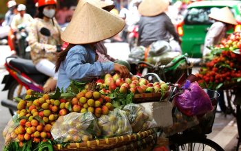Vietnam – Na vlastní kůži Zahraničí