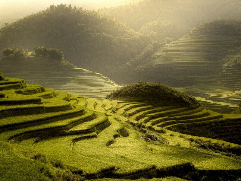 Vietnam – Na vlastní kůži Zahraničí