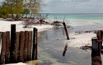 Fotoworkshop na Zanzibaru Zahraničí