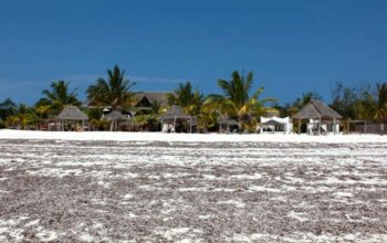 Fotoworkshop na Zanzibaru Zahraničí