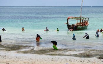 Fotoworkshop na Zanzibaru Zahraničí