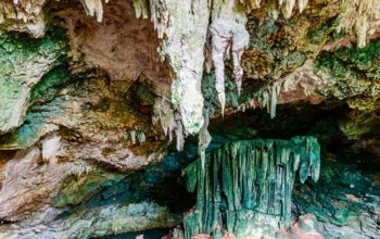 Fotoworkshop na Zanzibaru Zahraničí