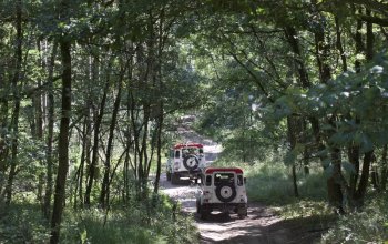 Land Rover off-road - celodenní trénink