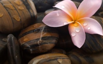 Havajská masáž Vysočina