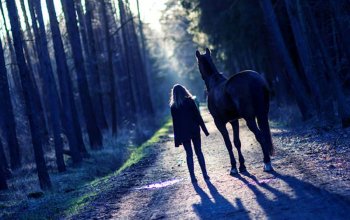 Venkovní úniková hra: Duch lesa Praha