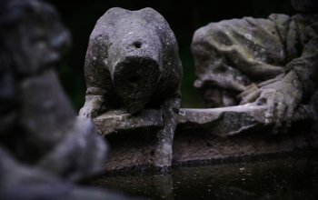 Venkovní úniková hra: Zakletá stezka