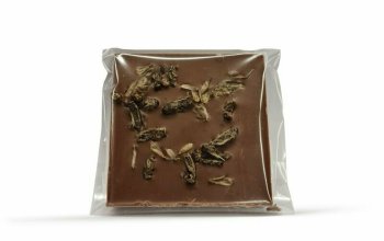 Hořká čokoláda se cvrčky