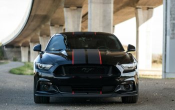 Jízda v supersportu Ford Mustang 5.0 V8 GT