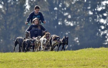 Mushing - jízda se psím spřežením