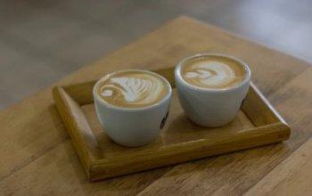 Základní kurz latté art