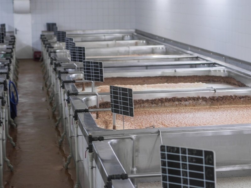 Pivní lázně s ubytováním v *** hotelu