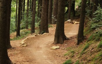 Cyklovíkend v bikeparku Tanvaldský Špičák