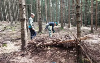Kurz přežití pro teenagery