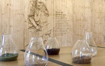 Prohlídka pivovaru Gambrinus s ochutnávkou