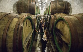 Škola čepování piva Pilsner Urquell + prohlídka…