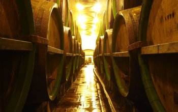 Škola čepování piva Pilsner Urquell + prohlídka…