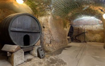 Prohlídka historického podzemí Plzně