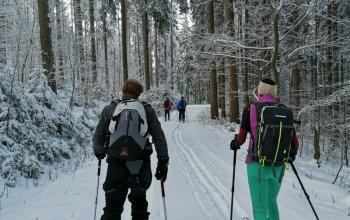 Kurz skialpy pro začátečníky: Krkonoše