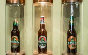 Prohlídka pivovaru Radegast s ochutnávkou